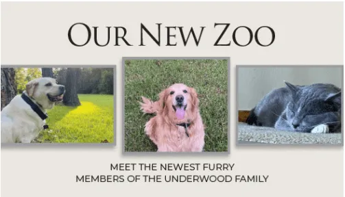 Images of a white dog, a golden retriever, and a gray cat under the heading "Our New Zoo.