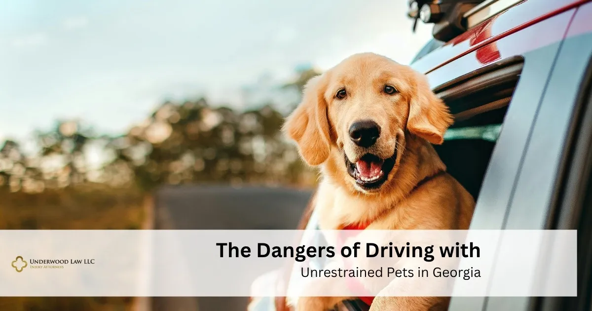 Golden retriever dog looking out of a car window with text about dangers of driving with unrestrained pets in Georgia.
